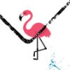 Picture of flamingo