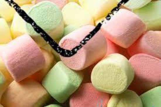 Picture of test product 21