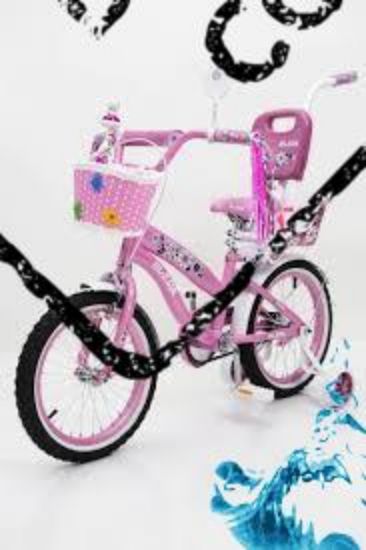Picture of BICYCLE2024